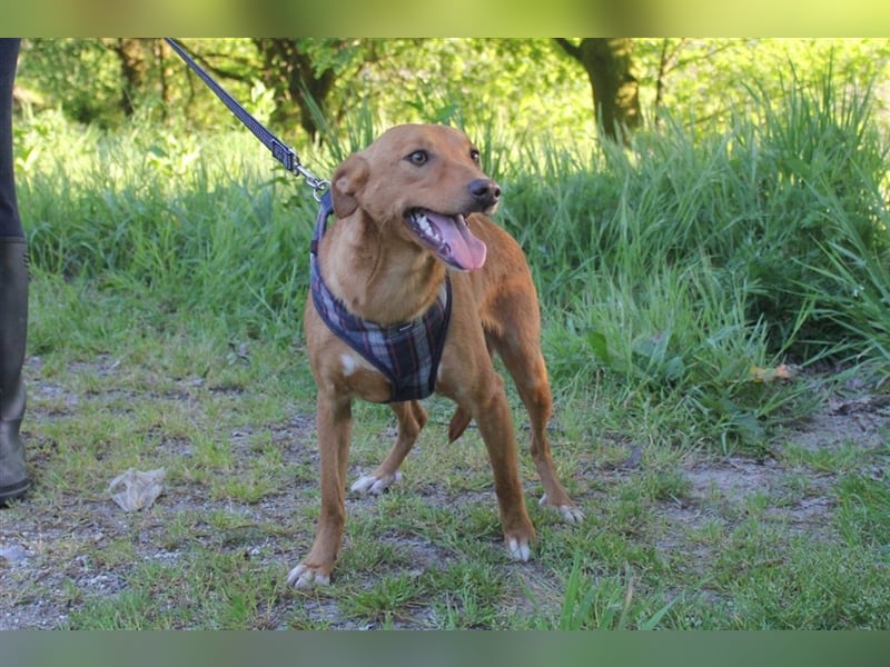 KLEINE MAJA