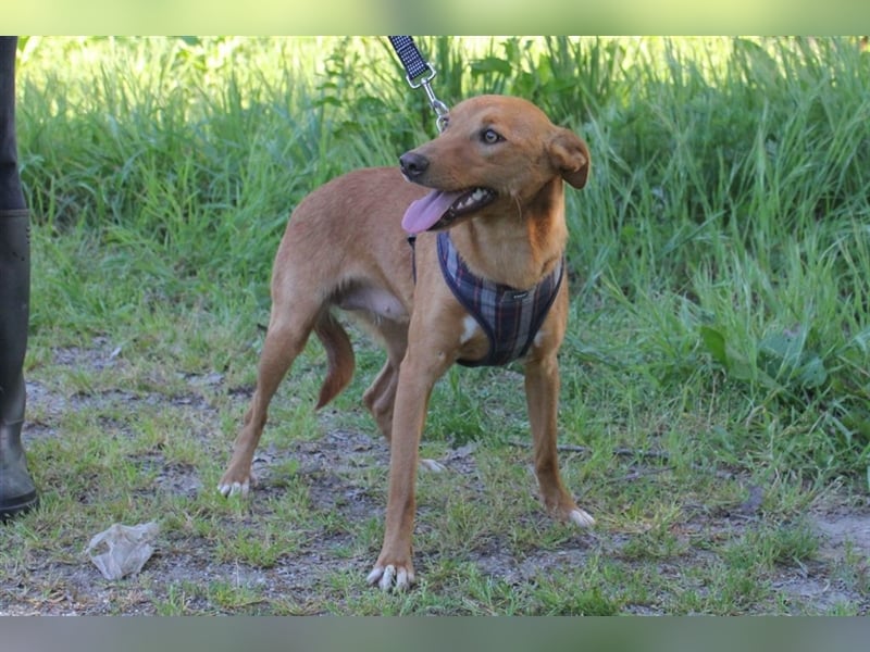 KLEINE MAJA