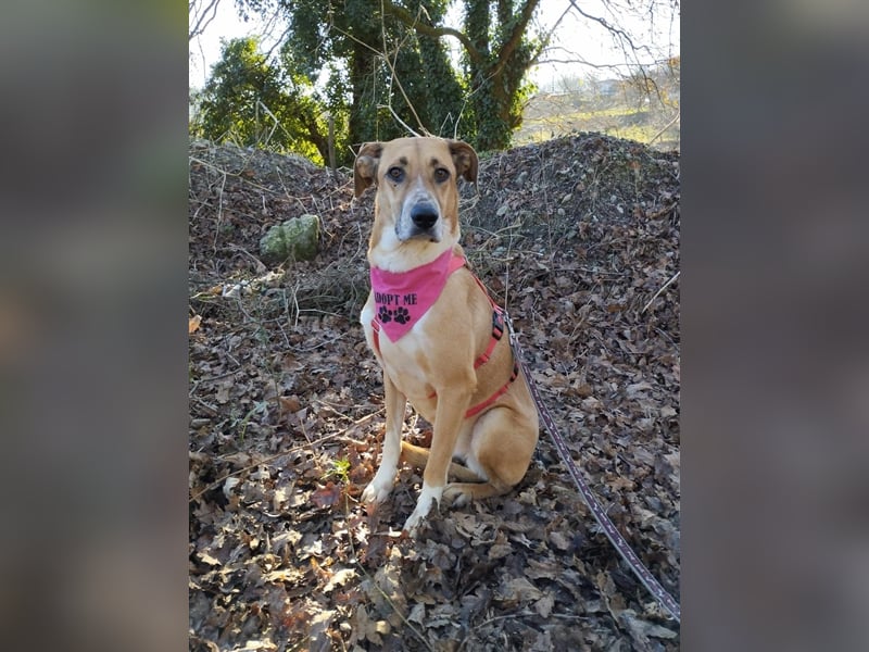 WUNDERSCHÖNE SERENA