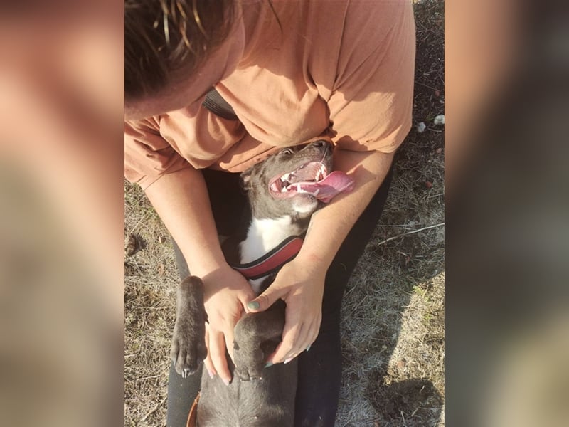 Tina2, coole Socke sucht kuscheliges Körbchen (mit Video)