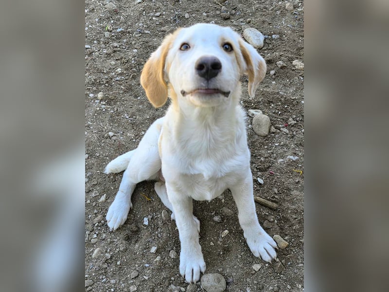 Anouk wird mal ein großes Mädchen!