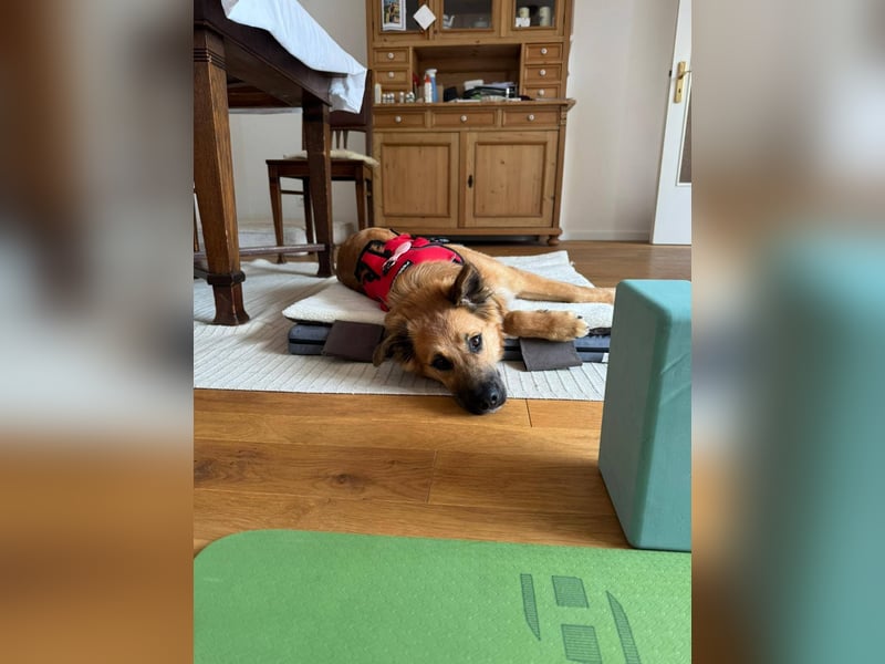 Sissy, Entdeckerin sucht ihre Herzensmenschen