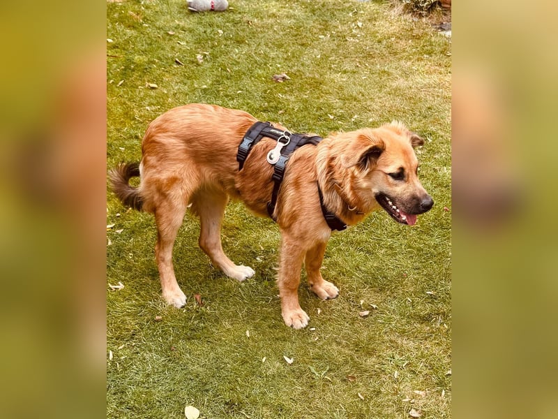 Sissy, Entdeckerin sucht ihre Herzensmenschen