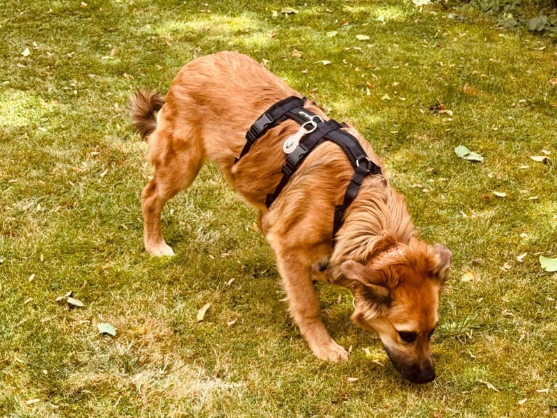 Sissy, Entdeckerin sucht ihre Herzensmenschen
