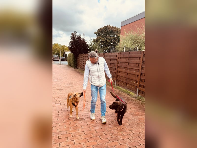 Sissy, Entdeckerin sucht ihre Herzensmenschen