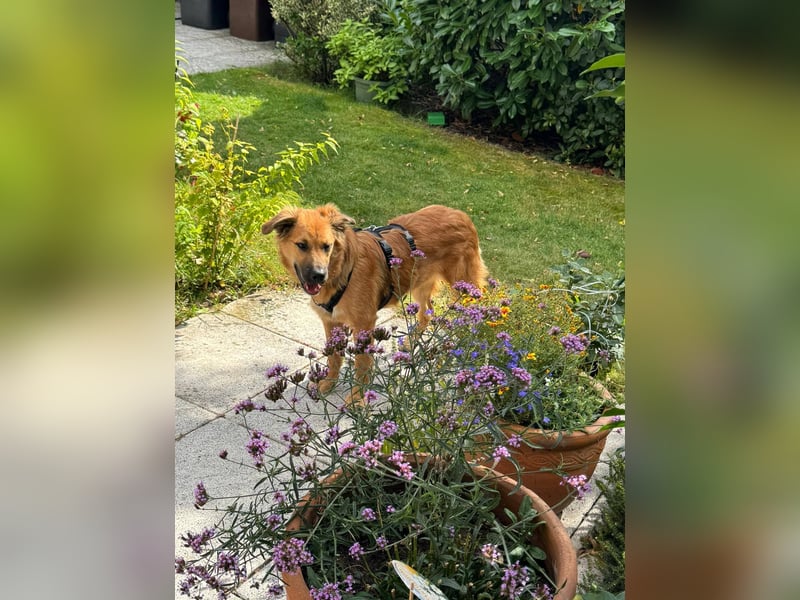 Sissy, Entdeckerin sucht ihre Herzensmenschen