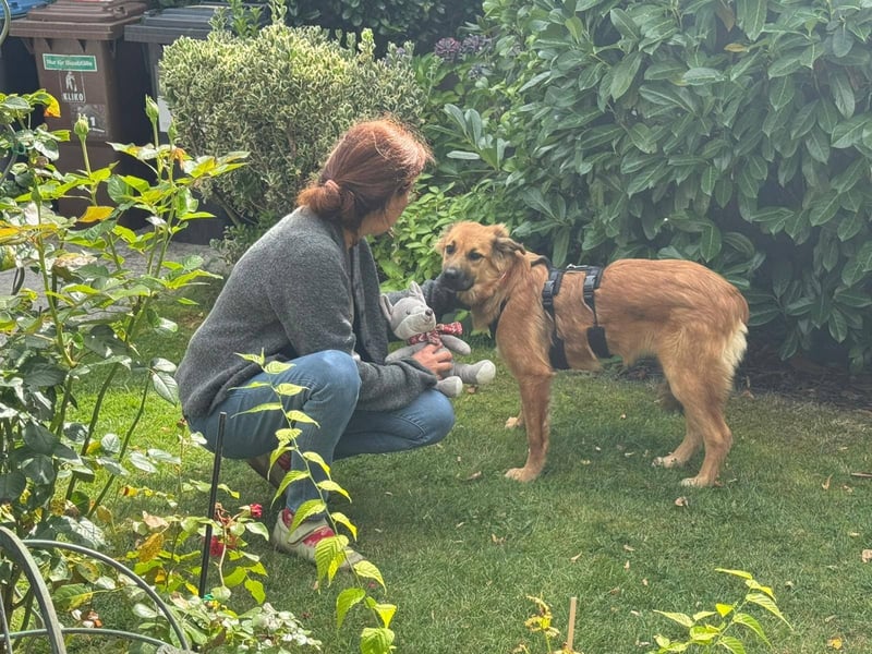 Sissy, Entdeckerin sucht ihre Herzensmenschen