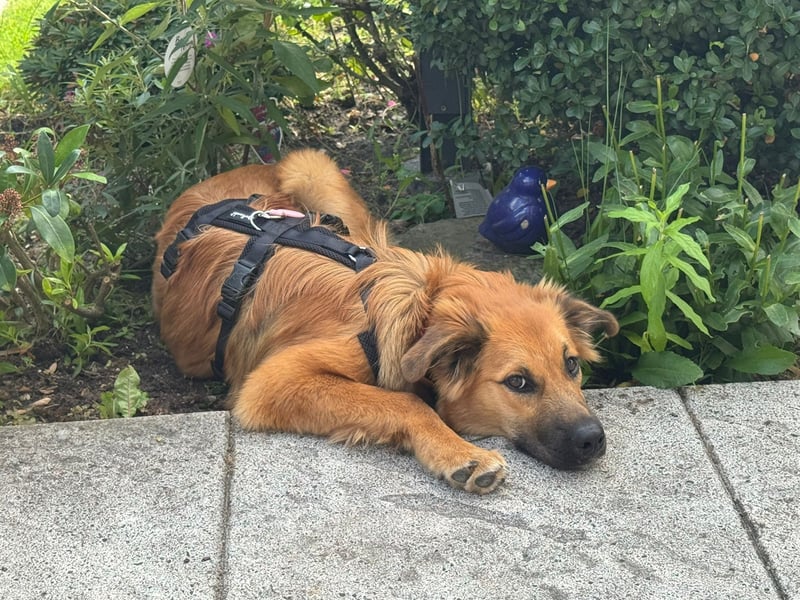 Sissy, Entdeckerin sucht ihre Herzensmenschen
