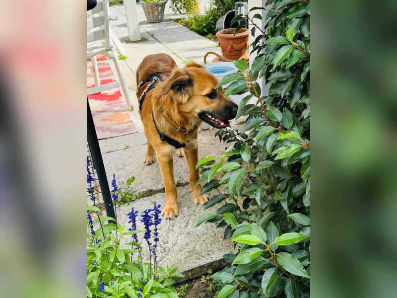 Sissy, Entdeckerin sucht ihre Herzensmenschen