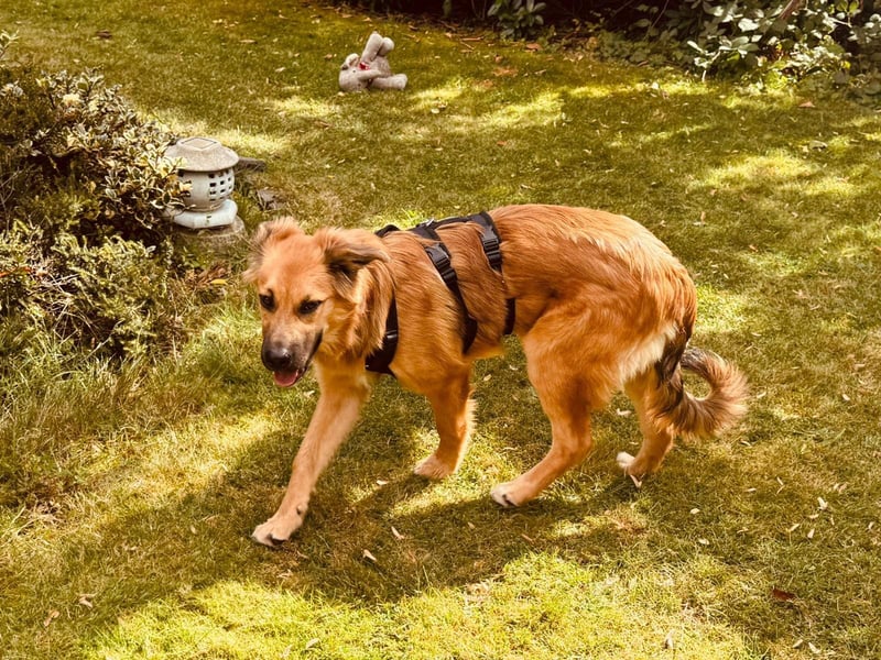 Sissy, Entdeckerin sucht ihre Herzensmenschen