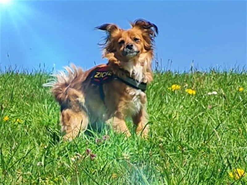 Chiqui  unsere kleine Prinzessin