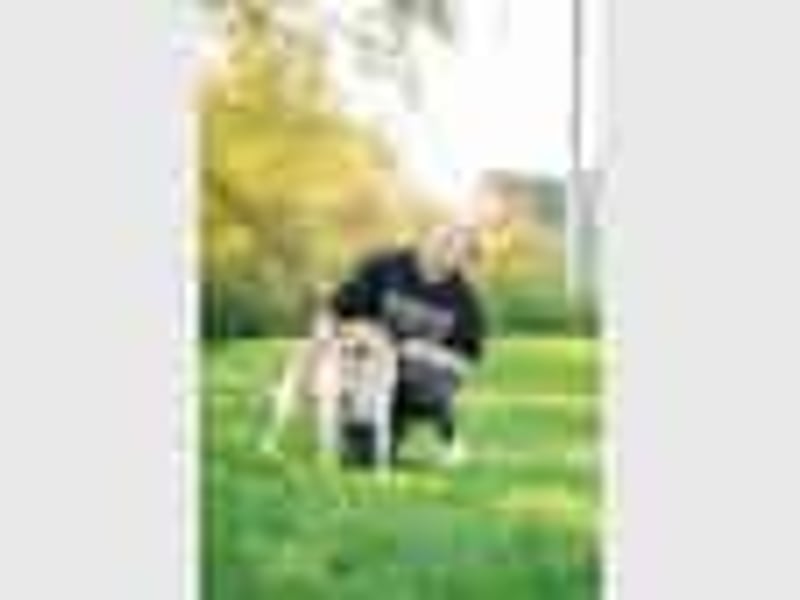 Hundedame Pinky❤️sucht ruhiges Zuhause
