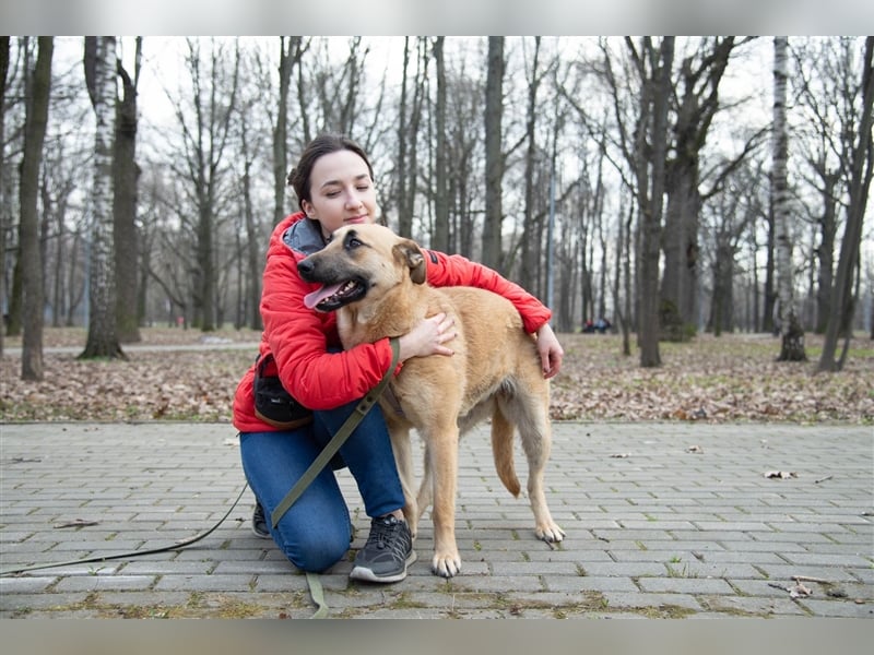 Verschmuste unproblematische Tierheimhündin Amber❤️sucht Familie