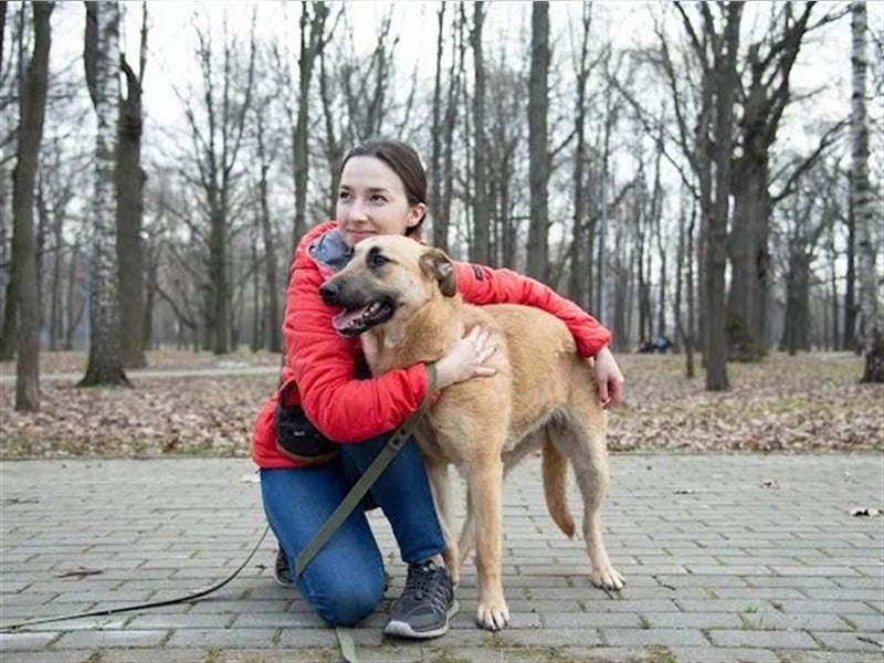Verschmuste unproblematische Tierheimhündin Amber❤️sucht Familie