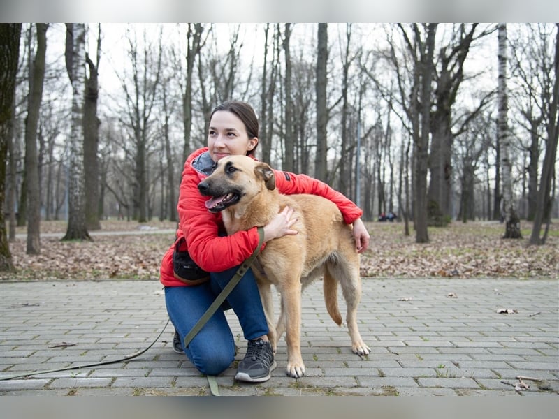 Verschmuste unproblematische Tierheimhündin Amber❤️sucht Familie
