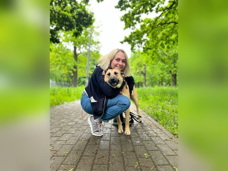 Verschmuste unproblematische Tierheimhündin Amber❤️sucht Familie