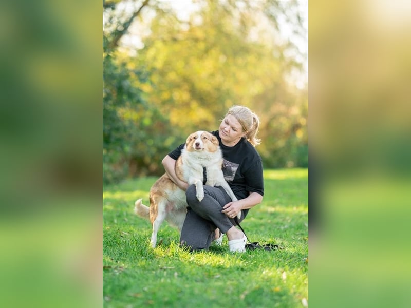 Hundedame Pinky❤️sucht ruhiges Zuhause