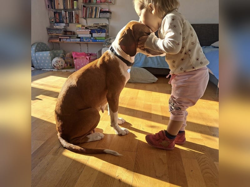 Liebevolle Iva sucht ihre ❤️-Menschen