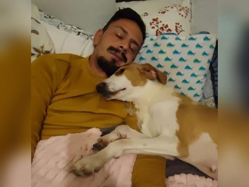 Winter – liebevolle Kuschelmaus sucht ihr Glück