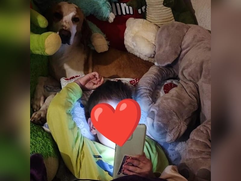 Winter – liebevolle Kuschelmaus sucht ihr Glück