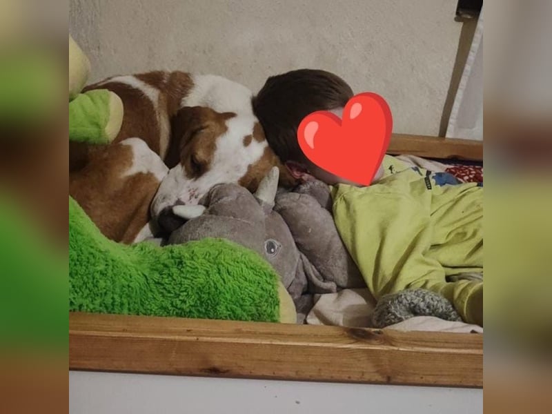Winter – liebevolle Kuschelmaus sucht ihr Glück