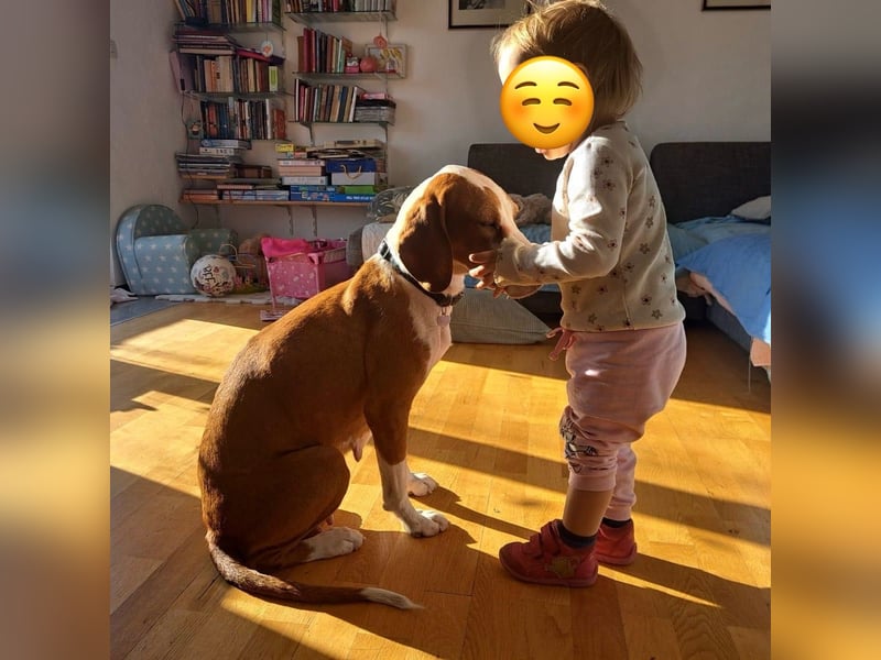 Liebevolle Iva sucht ihre ❤️-Menschen