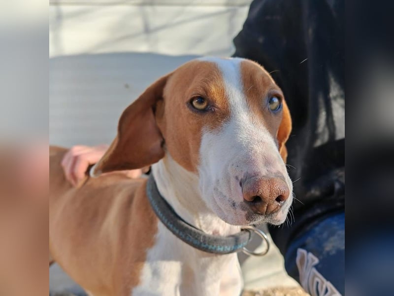 Riva – sanfte Seele sucht Geborgenheit ❤️