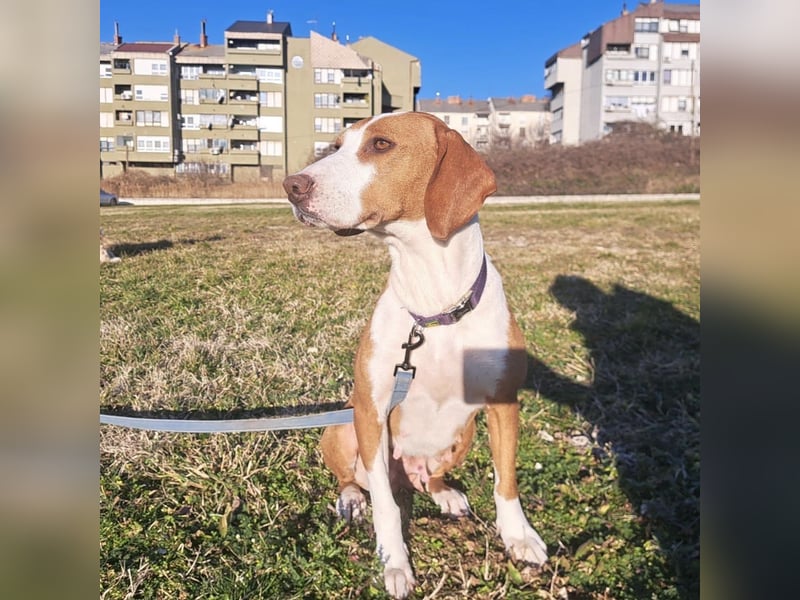 Liebevolle Iva sucht ihre ❤️-Menschen
