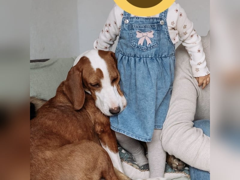 Liebevolle Iva sucht ihre ❤️-Menschen