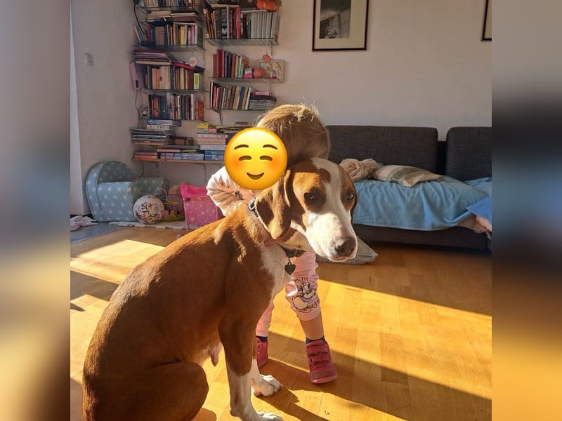 Liebevolle Iva sucht ihre ❤️-Menschen