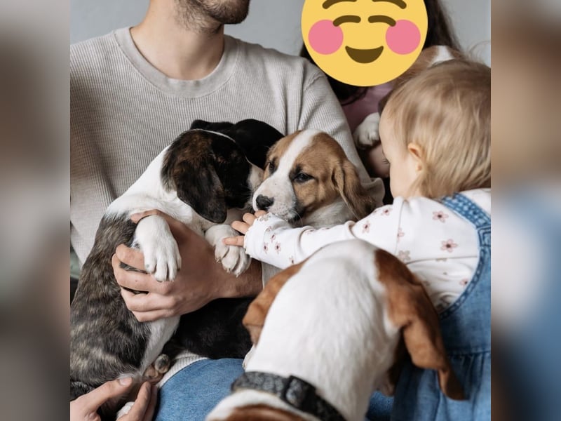 Liebevolle Iva sucht ihre ❤️-Menschen