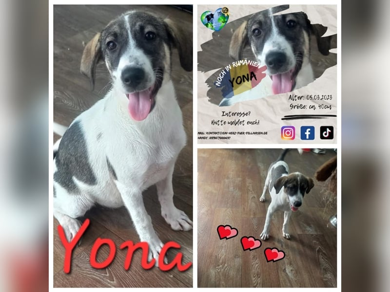 Unsere liebe Yona