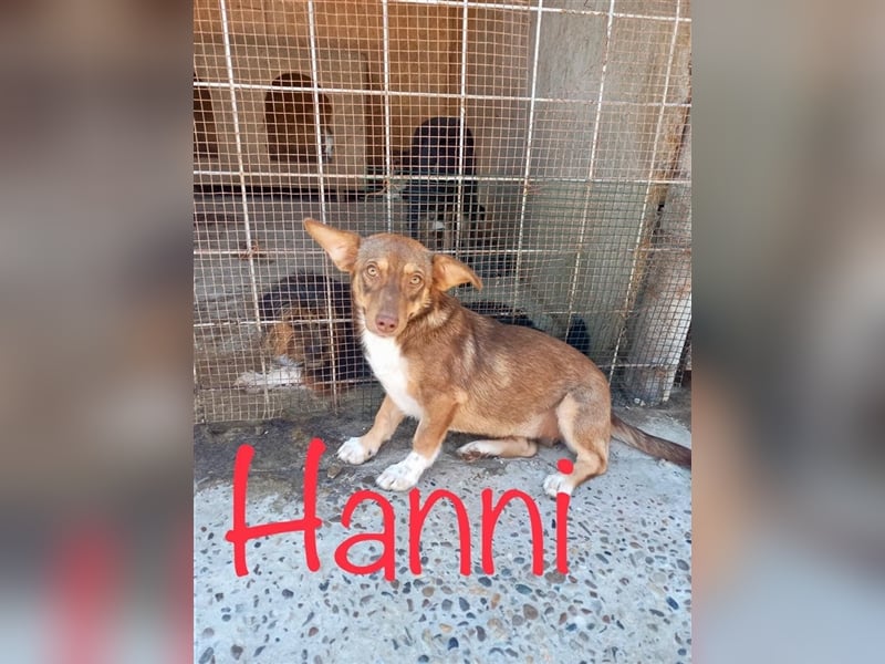 Unsere liebe Hanni