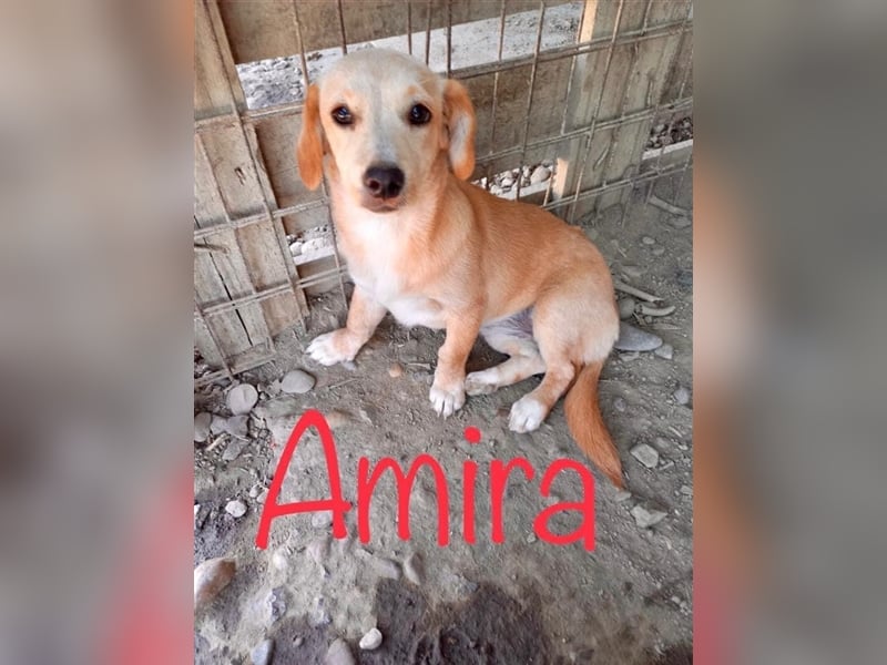 Unsere verspielte Amira