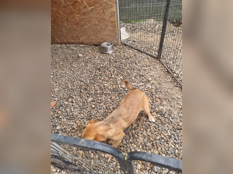 Unsere schöne Donna