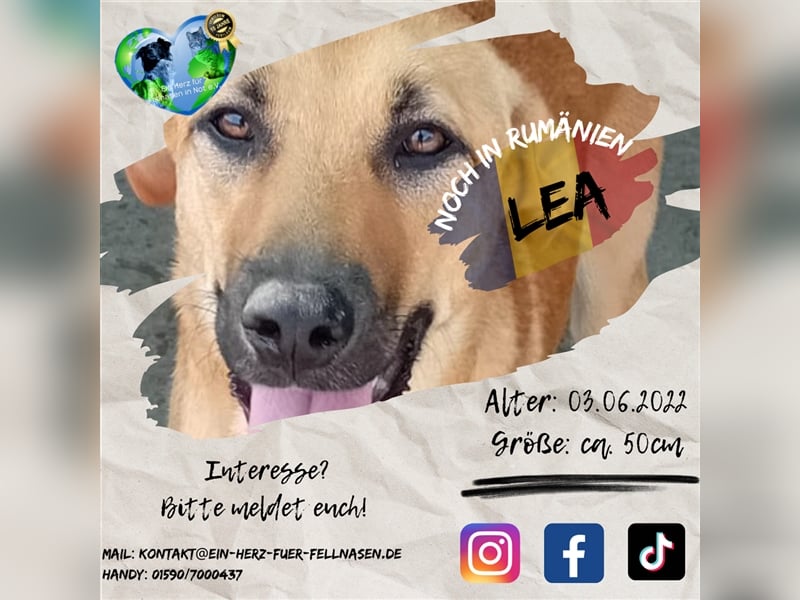 Unsere schöne Lea