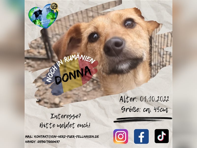 Unsere schöne Donna