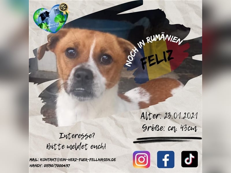 Unsere bezaubernde Feliz