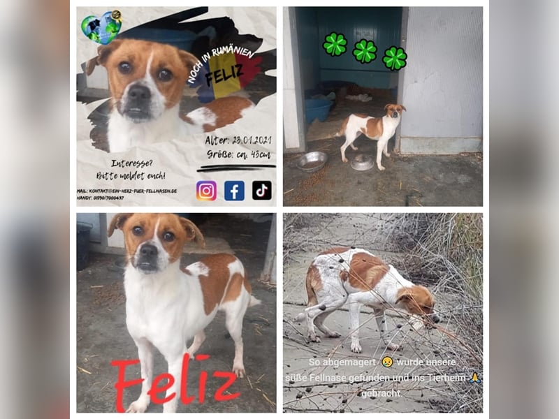 Unsere bezaubernde Feliz