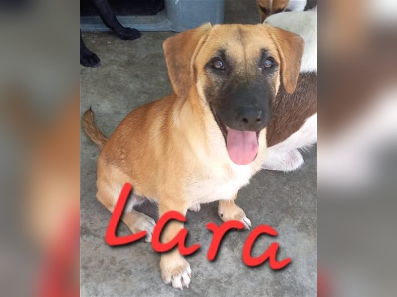 Unsere süße Lara