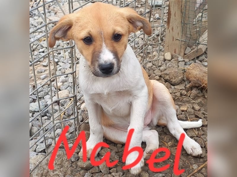 Unsere liebe Mabel