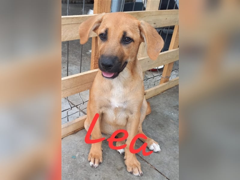 Unsere zauberhafte Lea
