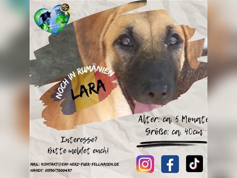 Unsere süße Lara