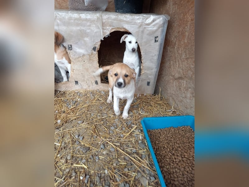 Unsere liebe Mabel