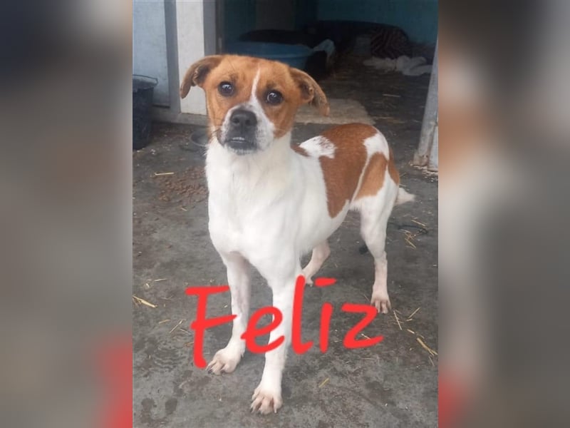 Unsere bezaubernde Feliz