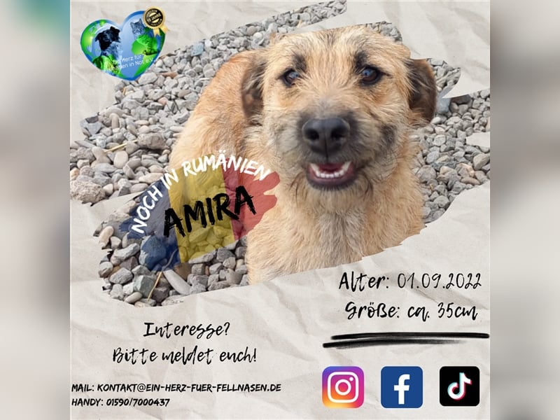 Unsere tolle Amira