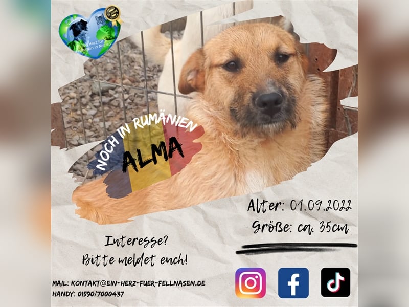 Unsere liebe Alma