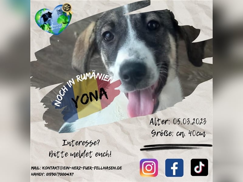 Unsere liebe Yona
