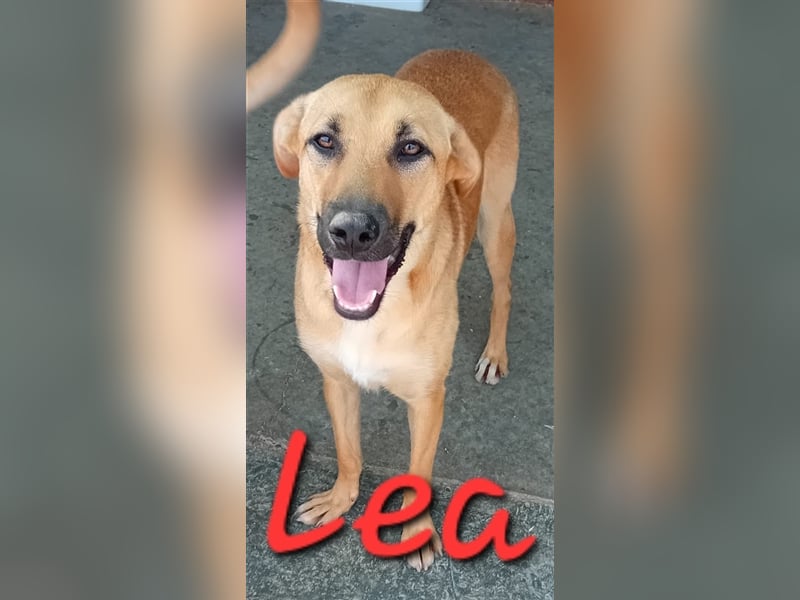Unsere schöne Lea