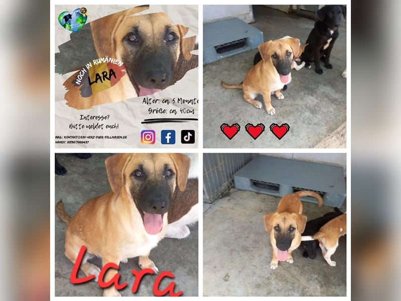 Unsere süße Lara